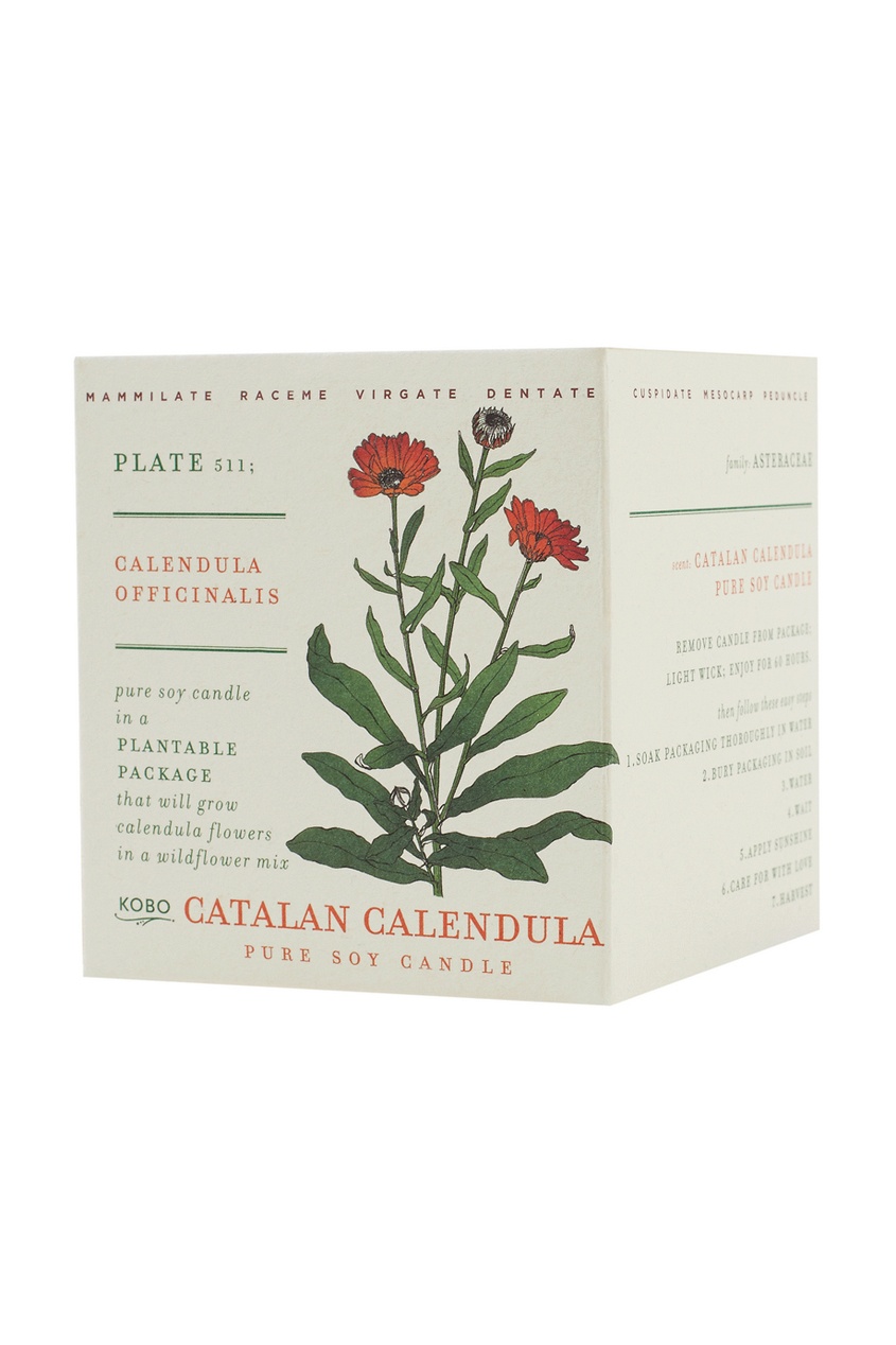

Ароматическая свеча Catalan Calendula 240гр, Multicolor, Ароматическая свеча Catalan Calendula 240гр.