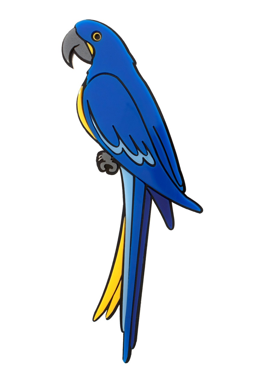 Синий попугай на белом фоне