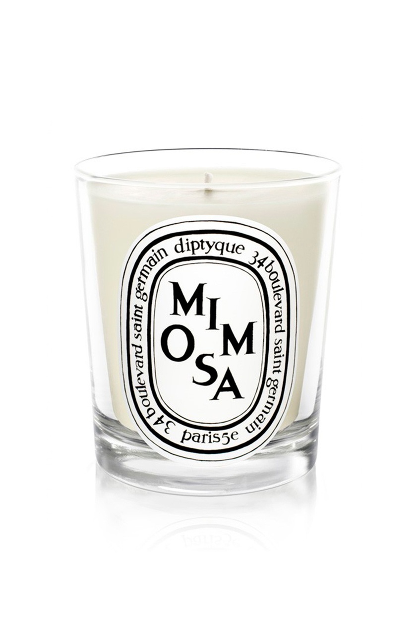 

Свеча из парфюмированного воска Mimosa, Multicolor, Свеча из парфюмированного воска Mimosa