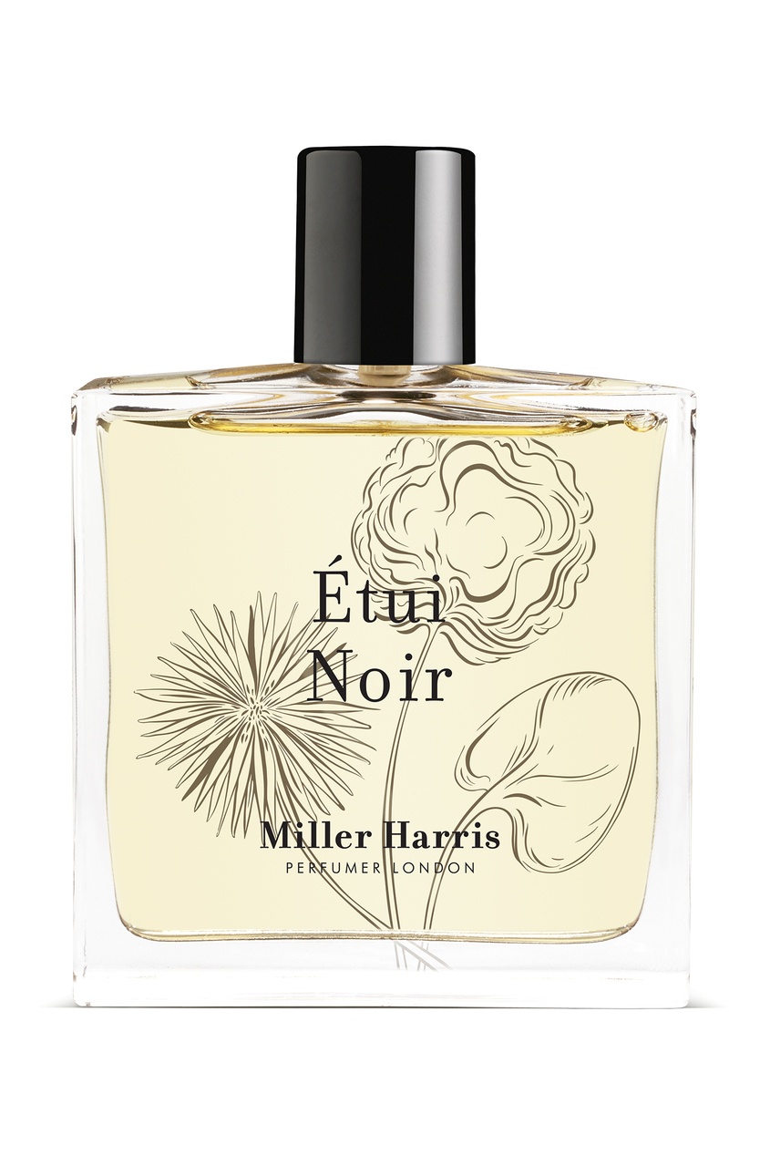 

Парфюмерная вода Ètui Noir, 100 ml, Без цвета