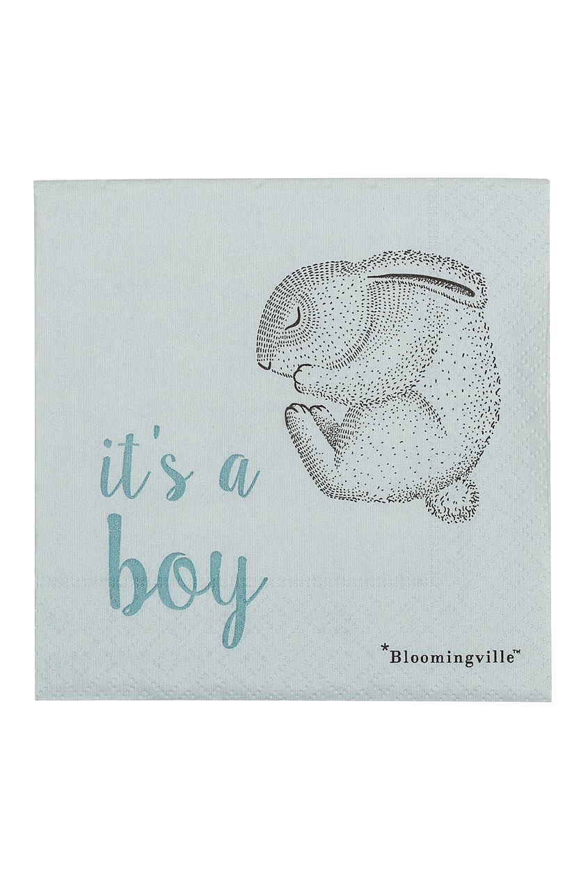 фото Набор салфеток it's a boy bloomingville